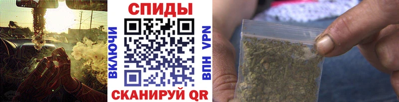 где найти кракен ссылки Бутират BDO 33% Новоузенск