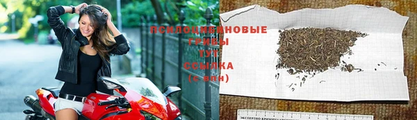 бошки Алзамай