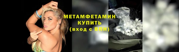 гидра Мегион